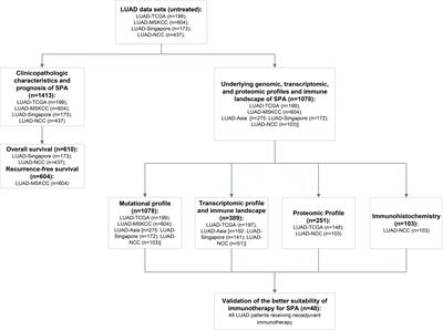 Multi-omics analysis unravels the underlying mechanisms of poor prognosis and differential therapeutic responses of solid predominant lung adenocarcinoma